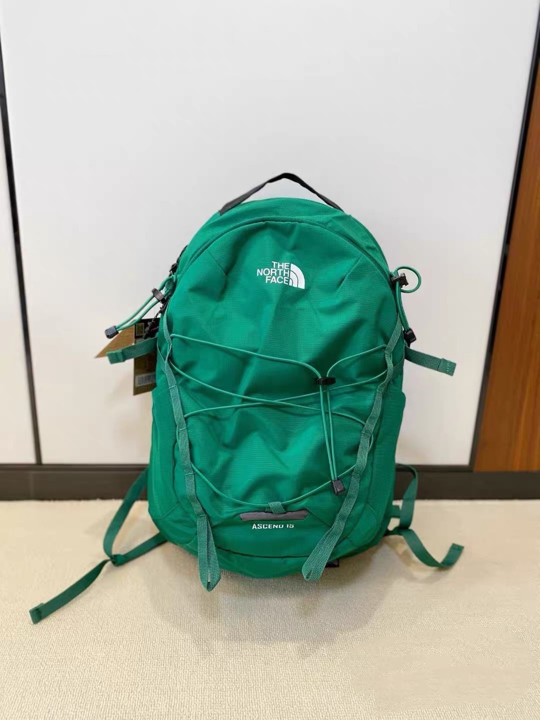 the north face backpack 10
